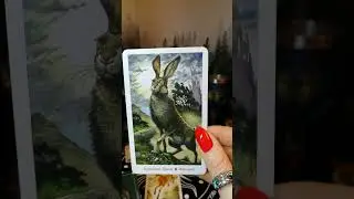 Что тебе надо знать прямо сейчас?