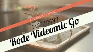 Review: Rode VideoMic Go vs onboard Nikon Mic