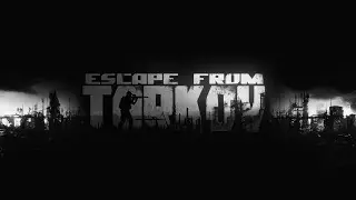 EFT/Escape From Tarkov Kill Moment Team WiLD #3
