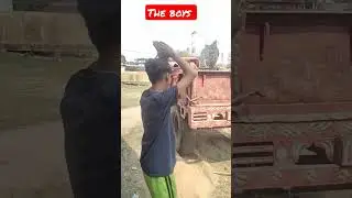 The Boys 😂