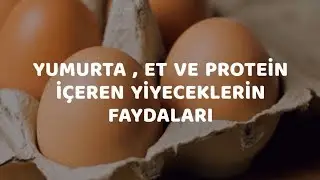Yumurta, Et ve Protein İçeren Yiyeceklerin Faydaları