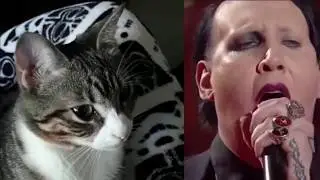 Cat reacts to MARILYN MANSON's acoustic version of 