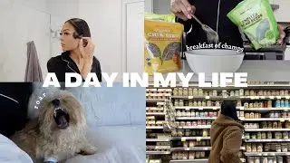 Day In My Life | introduction, vet appointment, grocery shopping