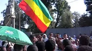 Timqetvideo2