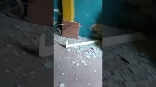 Сучьё нарушило нашу мирную жизнь!