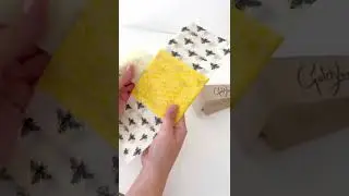How to use beeswax wraps to reduce your plastic waste! 🐝