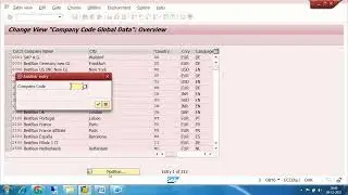 SAP parallel accounting concept,leading ledger and non leading ledger