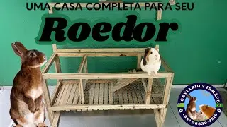 3 melhores alojamentos para porquinho da índia e coelho 🐇 🐹