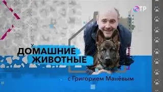 Павел Ижболдин в передаче 