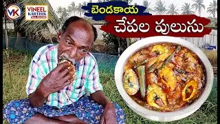 Andhra Fish Curry | Chepala Pulusu | Bendakaya Chepala Pulusu | చేపపులుసు | VineelKarthik All in One