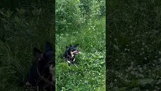 А что вас радует и делает счастливыми?🤗