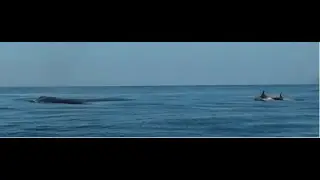 Полуостров Рыбачий