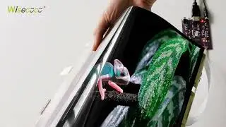 13 3 Inch 2048*1536 Bendable AMOLED Display