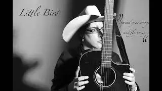 #music  Little Bird