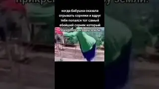 Сражение века