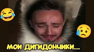 🥲 МОИ ДИГИДОНЧИКИ 😂
