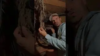 Раскопки / нашел дом с веревками для связывания