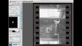 Tips on Scanning Black and White Film