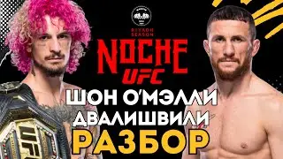 Шон О'Мэлли vs Мераб Двалишвили на UFC 306 | Разбор боя