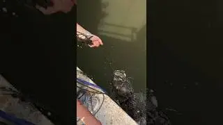 Magnet Fishing a Dangerous Canal!