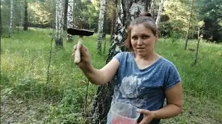 Прогулка по лесу