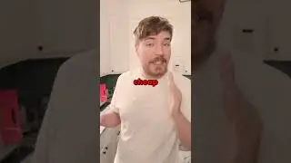 Cheapest MrBeast Video!