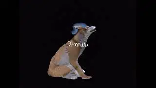 на мап @iworshiptea