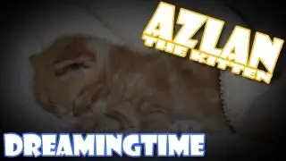 Azlan is dreaming