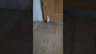 кто там за дверью ранним утром