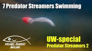 Streamer flies - real underwater footage