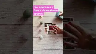 27 августа 2024 г.