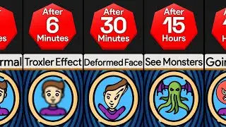 Timeline: If You Stare At The Mirror Forever