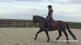 Forelock and Load Bitting with Kate Sanderson