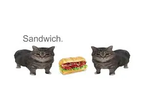 this is a sandwich but high quality