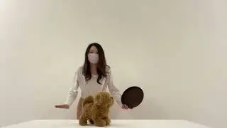 038  【You don’t see it, do you】saki    moving dog challenge