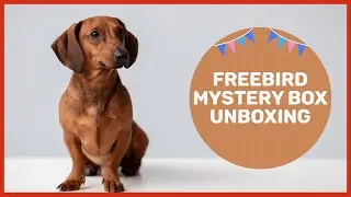 🐾🐶Freebird Mystery Box Unboxing 🐾🐶 New Year Box