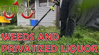 Bushes and Privatized Liquor