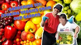 GARDENING 101: COOKING VEGGIES FROM OUR GARDEN