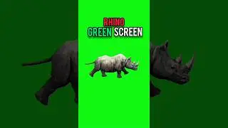 Rhino green screen