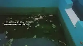 KESALAHAN PENGGANTIAN AIR KOLAM IKAN