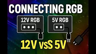 How to Connect & Control RGB/ARGB on Your PC (5V vs 12V Explained