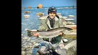 Kevadel sai üks korralik 79cm koll merest välja võetud!🎣😶‍🌫️🥶