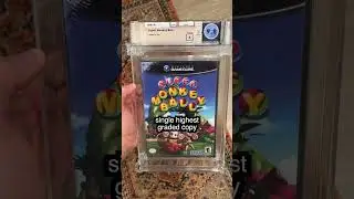 Why I just spent $5,000 on a GAMECUBE GAME! 🤯