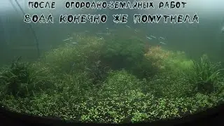 Рескейп.Мой последний "Огород".Aqua Design Amano.