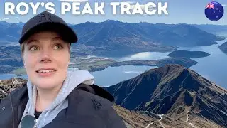 Most Beautiful Hike in New Zealand? Roys Peak Track