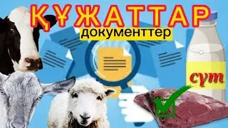 Мал сатуға, сүтке, етке, тасымалдауға құжатар: Қандай құжат керек?  Вет станция, лабаратория бұл ИП