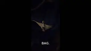 So Scary w/o My Glasses!!