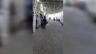 Mata Vaishno Devi | Vaishno Devi Paidal Yatra | VaishnoDevi Yatra