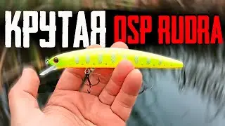 🔴 PIKE FISHING on THE BEST WOBBLER for autumn - OSP RUDRA!!! 🔥🔥🔥