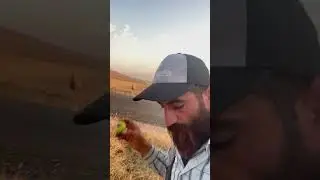 Gülçin yine iş başında